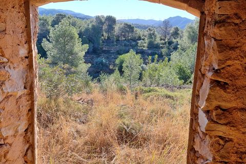 Finca i Tivenys, Tarragona, Tivenys - € 18.000 | Ref: Tj3 - foto 5
