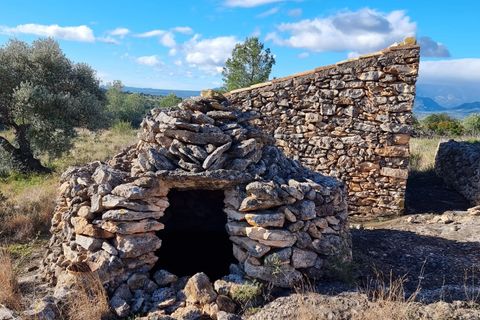Finca i Tivenys, Tarragona, Tivenys - € 18.000 | Ref: Tj3 - foto 8
