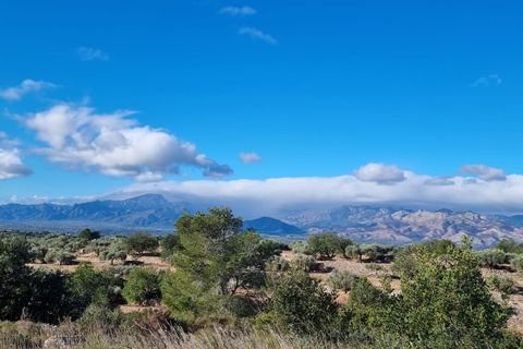 Finca i Tivenys, Tarragona, Tivenys - € 18.000 | Ref: Tj3 - foto 2