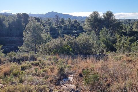 Finca i Tivenys, Tarragona, Tivenys - € 18.000 | Ref: Tj3 - foto 3