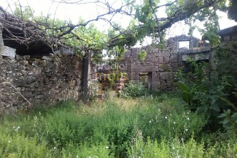 Farm i Guimaraes, Braga, Guimaraes - € 325.000 | Ref: 1128 - foto 5