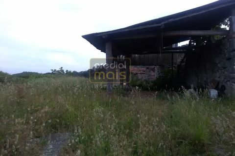 Farm i Guimaraes, Braga, Guimaraes - € 325.000 | Ref: 1128 - foto 11