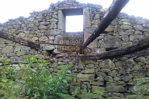 Farm i Guimaraes, Braga, Guimaraes - € 325.000 | Ref: 1128 - foto 12