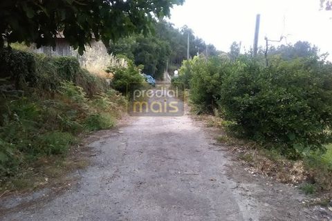 Farm i Guimaraes, Braga, Guimaraes - € 325.000 | Ref: 1128 - foto 14