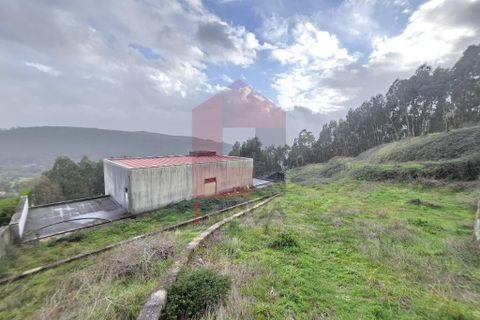 Byhus i Vila Verde, Braga, Vila Verde - € 350.000 | Ref: 08795 - foto 37