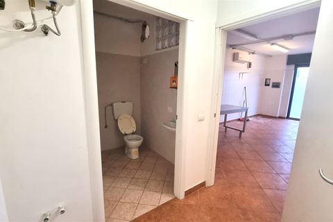 Erhvervsejendom i Parma, Parma, Parma - € 120.000 | Ref: 5052 - foto 9