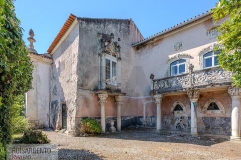 Landejendom i Anadia, Aveiro, Anadia - € 8.026.000 | Ref: EXP_238RSKWPT-022283 - foto 4