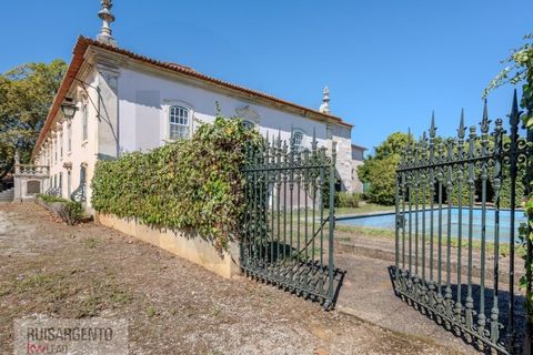 Landejendom i Anadia, Aveiro, Anadia - € 8.026.000 | Ref: EXP_238RSKWPT-022283 - foto 6