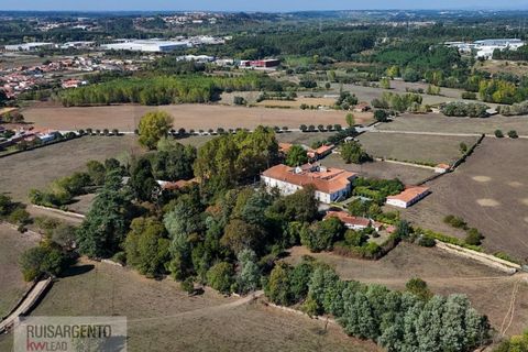 Landejendom i Anadia, Aveiro, Anadia - € 8.026.000 | Ref: EXP_238RSKWPT-022283 - foto 7