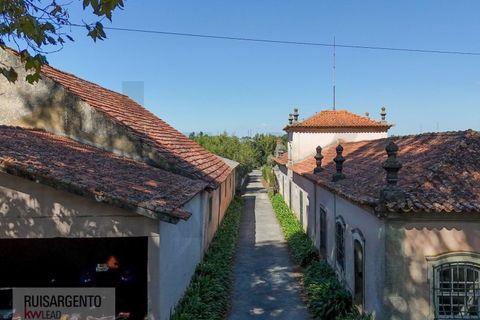 Landejendom i Anadia, Aveiro, Anadia - € 8.026.000 | Ref: EXP_238RSKWPT-022283 - foto 8