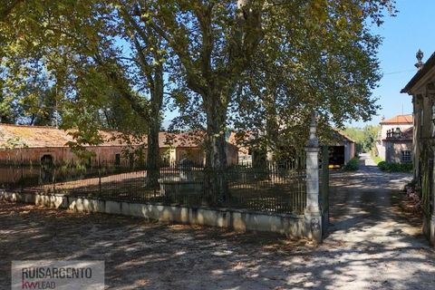 Landejendom i Anadia, Aveiro, Anadia - € 8.026.000 | Ref: EXP_238RSKWPT-022283 - foto 9