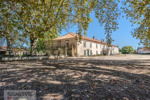 Landejendom i Anadia, Aveiro, Anadia - € 8.026.000 | Ref: EXP_238RSKWPT-022283 - foto 12