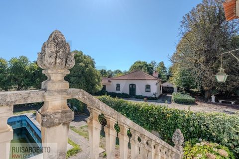 Landejendom i Anadia, Aveiro, Anadia - € 8.026.000 | Ref: EXP_238RSKWPT-022283 - foto 16