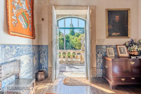Landejendom i Anadia, Aveiro, Anadia - € 8.026.000 | Ref: EXP_238RSKWPT-022283 - foto 21