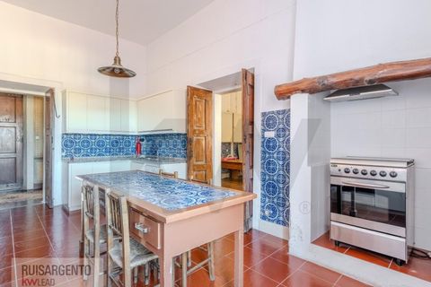 Landejendom i Anadia, Aveiro, Anadia - € 8.026.000 | Ref: EXP_238RSKWPT-022283 - foto 25