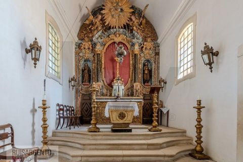 Landejendom i Anadia, Aveiro, Anadia - € 8.026.000 | Ref: EXP_238RSKWPT-022283 - foto 29