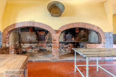 Landejendom i Anadia, Aveiro, Anadia - € 8.026.000 | Ref: EXP_238RSKWPT-022283 - foto 34