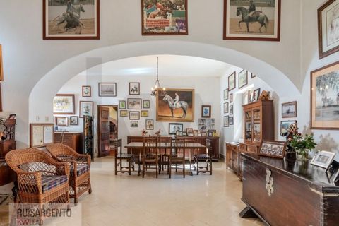 Landejendom i Anadia, Aveiro, Anadia - € 8.026.000 | Ref: EXP_238RSKWPT-022283 - foto 35