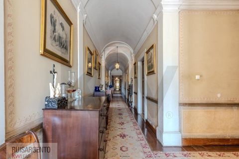 Landejendom i Anadia, Aveiro, Anadia - € 8.026.000 | Ref: EXP_238RSKWPT-022283 - foto 37