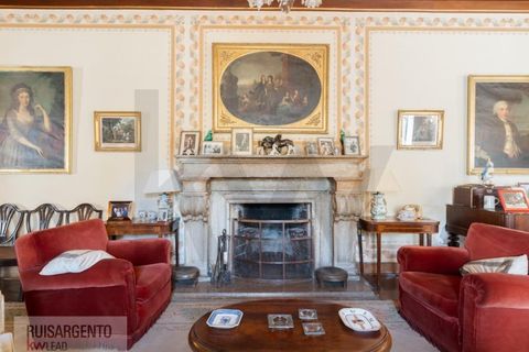 Landejendom i Anadia, Aveiro, Anadia - € 8.026.000 | Ref: EXP_238RSKWPT-022283 - foto 40
