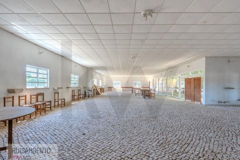 Landejendom i Anadia, Aveiro, Anadia - € 8.026.000 | Ref: EXP_238RSKWPT-022283 - foto 47