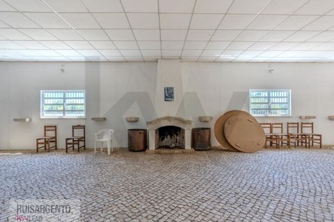 Landejendom i Anadia, Aveiro, Anadia - € 8.026.000 | Ref: EXP_238RSKWPT-022283 - foto 48