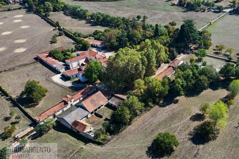 Landejendom i Anadia, Aveiro, Anadia - € 8.026.000 | Ref: EXP_238RSKWPT-022283 - foto 49