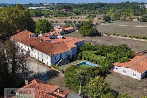 Landejendom i Anadia, Aveiro, Anadia - € 8.026.000 | Ref: EXP_238RSKWPT-022283 - foto 50