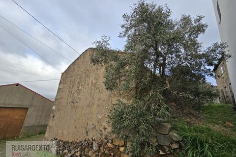 Villa i Castelo Branco, Castelo Branco, Castelo Branco - € 12.000 | Ref: CAS_233RSKWPT-012265 - foto 2