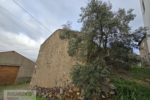 Villa i Castelo Branco, Castelo Branco, Castelo Branco - € 12.000 | Ref: CAS_233RSKWPT-012265 - foto 4