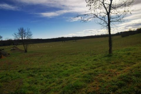 Farm i Soublecause, Hautes-Pyrenees, Soublecause - € 188.500 | Ref: 276_BVE-0025623 - foto 17