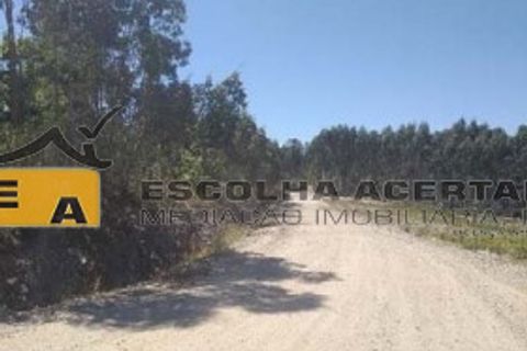 Helårsgrund i Valongo, Porto, Valongo - € 11.000.000 | Ref: 10997 - foto 1