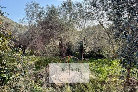 Villa a Imperia, Imperia, Imperia - € 279.000 | Ref: 38601013-240 - foto 24