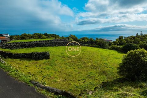 Byhus i Lajes do Pico, Pico, Lajes do Pico - € 125.000 | Ref: ONE401673-79 - foto 9
