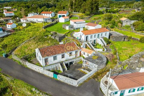 Byhus i Lajes do Pico, Pico, Lajes do Pico - € 125.000 | Ref: ONE401673-79 - foto 12
