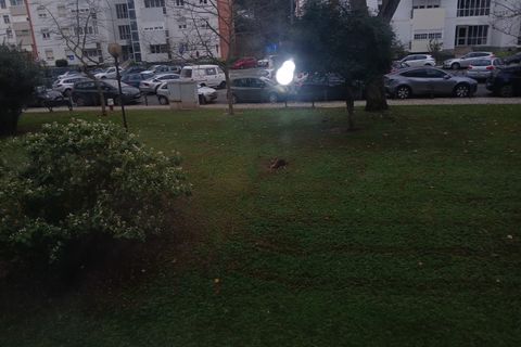Lejlighed i Oeiras, Lisbon, Oeiras - € 475.000 | Ref: S1011M - foto 21
