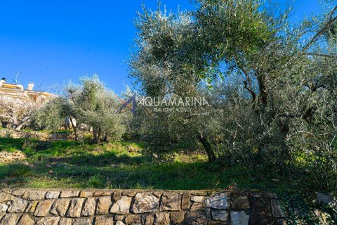 Villa i Vallecrosia, Imperia, Vallecrosia - € 530.000 | Ref: 14136 - foto 27