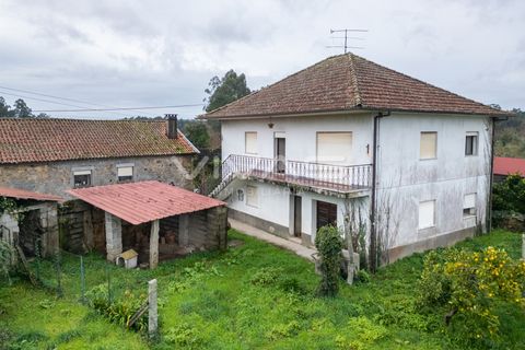 Villa i Ponte de Lima, Viana do Castelo, Ponte de Lima - € 199.000 | Ref: 01-3769 - foto 3