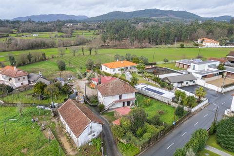 Villa i Ponte de Lima, Viana do Castelo, Ponte de Lima - € 199.000 | Ref: 01-3769 - foto 5