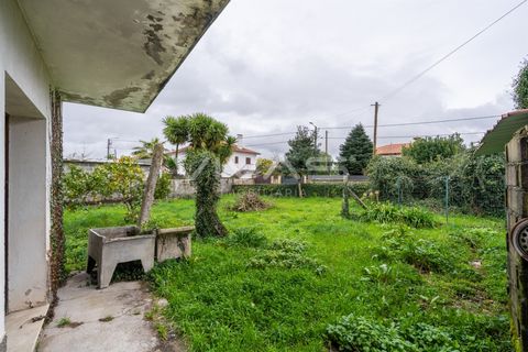 Villa i Ponte de Lima, Viana do Castelo, Ponte de Lima - € 199.000 | Ref: 01-3769 - foto 6