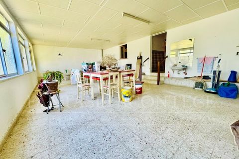 Villa i Crato, Portalegre, Crato - € 210 000 | Ref: CAS_336 - foto 25