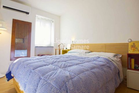 Villa a Cipressa, Imperia, Cipressa - € 290.000 | Ref: 7T01 - foto 6