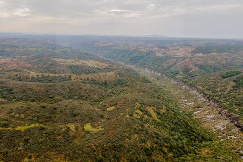 Farm i Serpa, Beja, Serpa - € 199.000 | Ref: 10631 - foto 6
