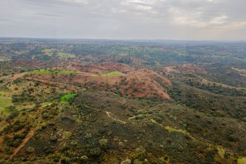 Farm i Serpa, Beja, Serpa - € 199.000 | Ref: 10631 - foto 7