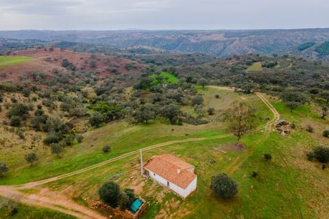 Farm i Serpa, Beja, Serpa - € 199.000 | Ref: 10631 - foto 12