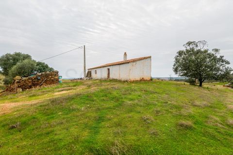 Farm i Serpa, Beja, Serpa - € 199.000 | Ref: 10631 - foto 13