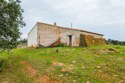 Farm i Serpa, Beja, Serpa - € 199.000 | Ref: 10631 - foto 15