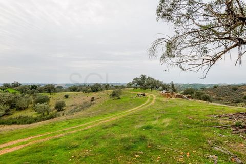 Farm i Serpa, Beja, Serpa - € 199.000 | Ref: 10631 - foto 17