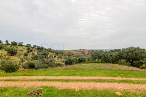 Farm i Serpa, Beja, Serpa - € 199.000 | Ref: 10631 - foto 18