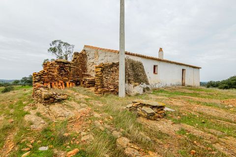 Farm i Serpa, Beja, Serpa - € 199.000 | Ref: 10631 - foto 19